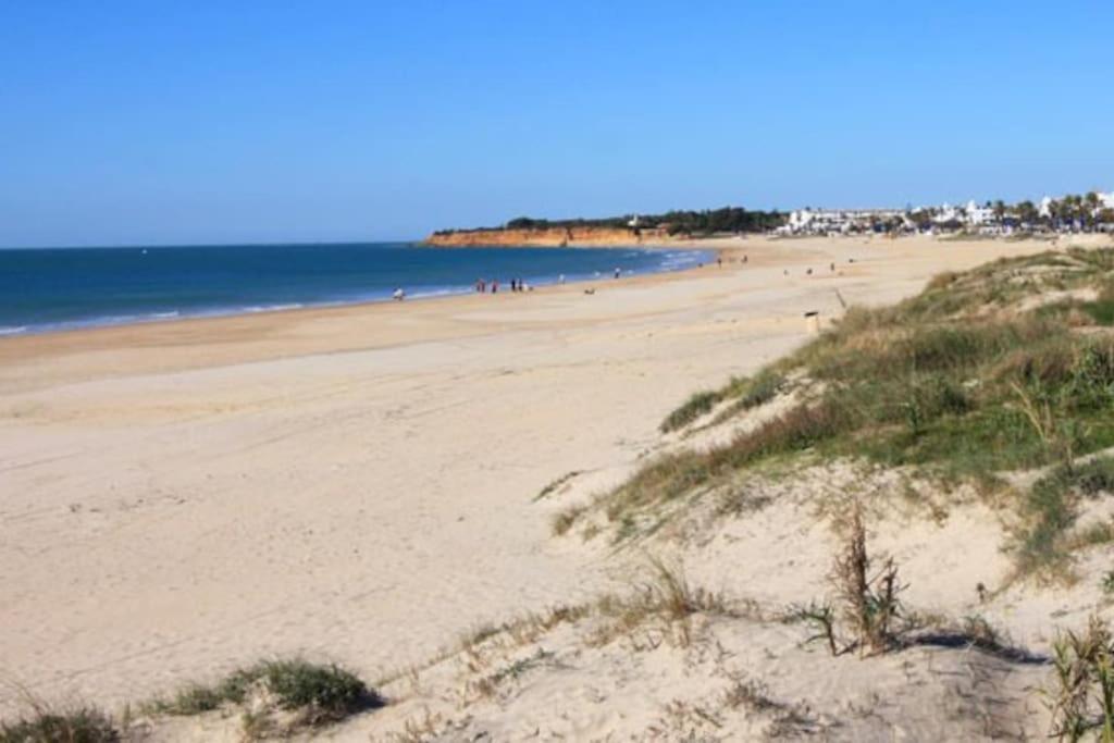 Fancy Apartment In A Historic House, Chiclana City Center By C. Dreams Chiclana de la Frontera Bagian luar foto